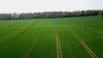 IMG_3535.jpeg