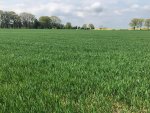 IMG_3567.jpeg