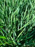 IMG_3627.jpeg