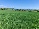 IMG_3629.jpeg