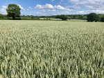 IMG_3684.jpeg