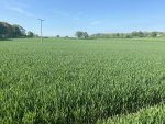 IMG_3948.jpeg