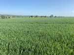 IMG_3946.jpeg