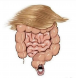 Screenshot 2025-03-15 at 19.50.11.png