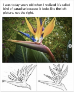 Screenshot 2025-03-23 at 12.32.54.png