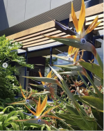 Screenshot 2025-03-23 at 12.33.18.png