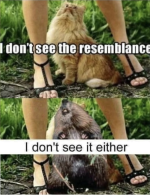 Screenshot 2025-11-21 at 16.59.14.png