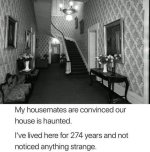 ghost.jpg