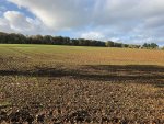 IMG_2713.jpeg