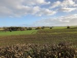 IMG_2720.jpeg
