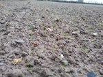 IMG_20201112_164031.jpg