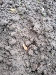 IMG_20201112_164023.jpg